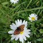 Oberer Gollmitzer Heiligenblut am Großglockner