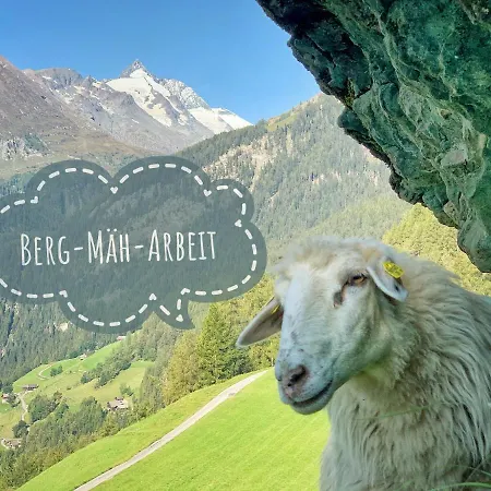 Oberer Gollmitzer * Heiligenblut